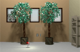 Ficus Room Escape