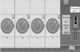 Grayscale Escape - Laundry Room