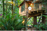 Mushroom Tree House Forest Escape