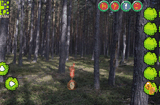 Mysterious Password Forest Escape 3