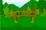 Green Forest Escape